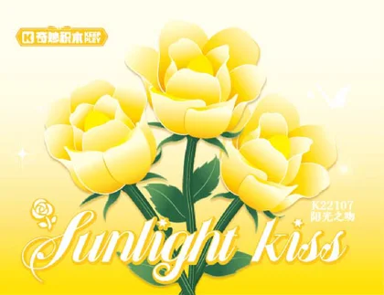 KEEPPLEY奇妙积木K22107