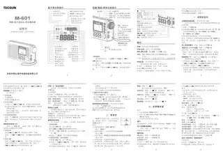 TECSUN德生M-601