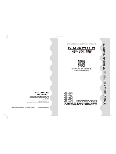 AO史密斯JSQ31-VJSWi-N
