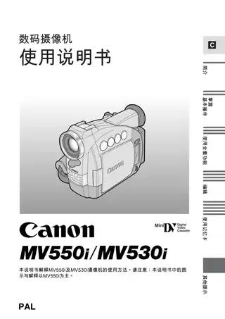 CANON佳能MV530i