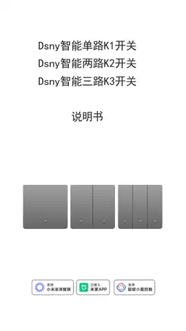Dsny智能两路K2开关