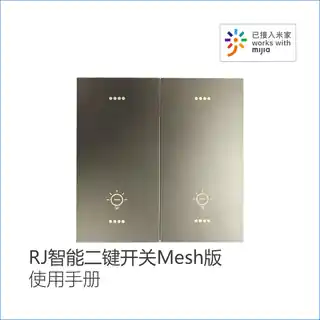 RJ智能二键开关Mesh版