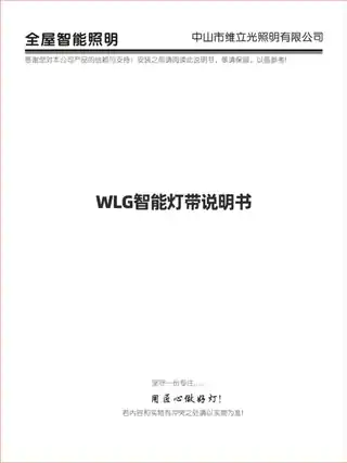 WLG智能灯带