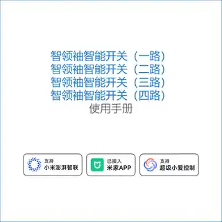 智领袖智能开关（一路）