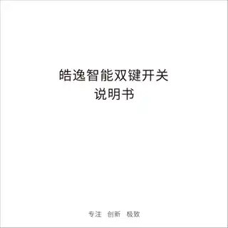 皓逸智能双键开关