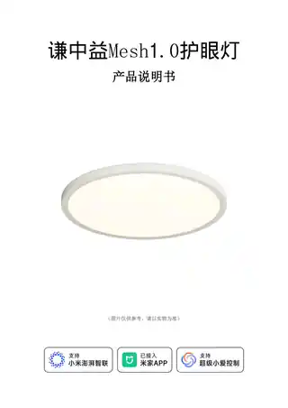 谦中益Mesh1.0护眼灯