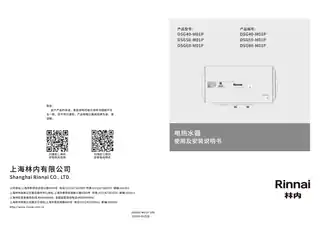 rinnai林内DSG60-M01P