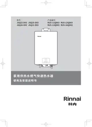 rinnai林内JSQ31-D03