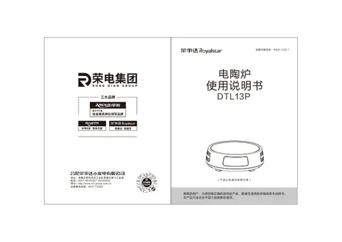 Royalstar荣事达DTL13P
