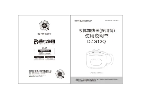 Royalstar荣事达DZG12Q
