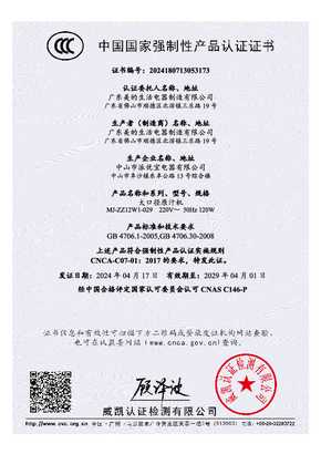 MJ-ZZ12W1-029